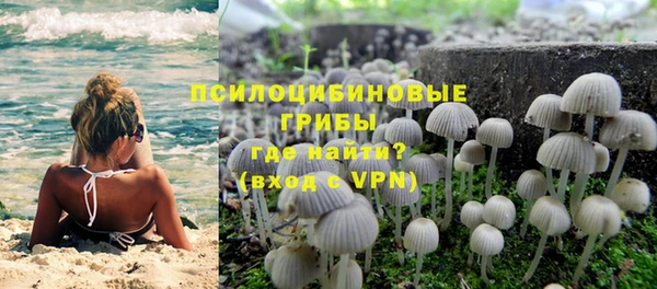 молекула духа Верея