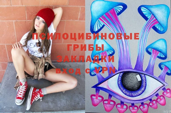 индика Верхнеуральск