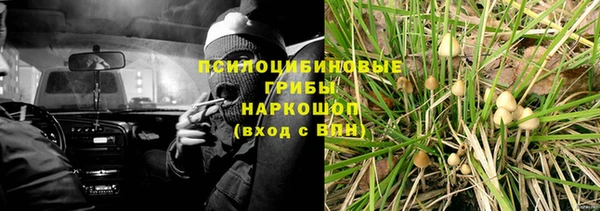 индика Верхнеуральск