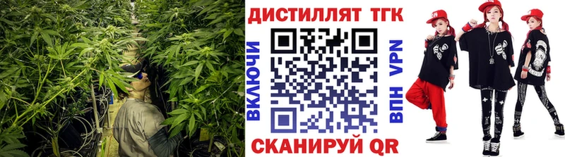 Дистиллят ТГК гашишное масло  купить наркотики сайты  Заозёрск 